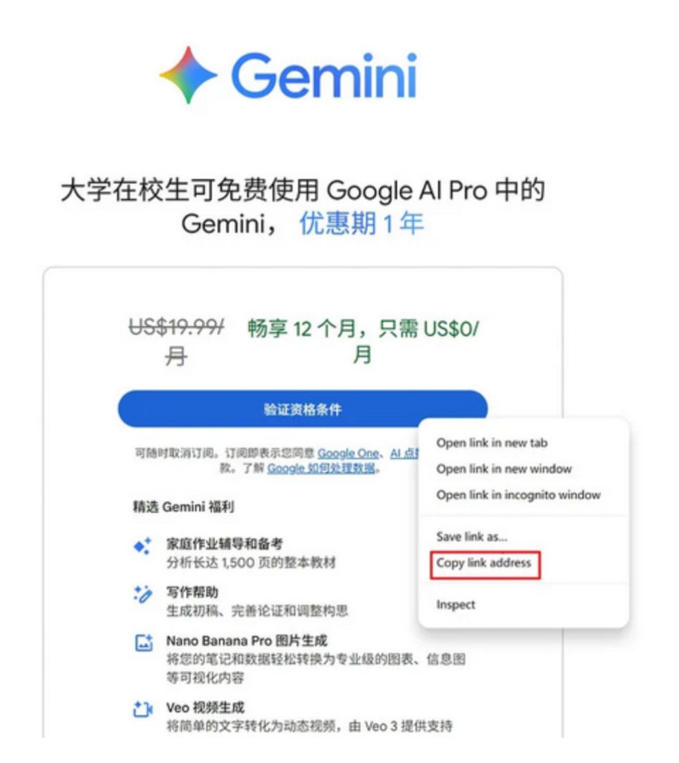 image-20260113113304335